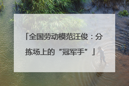 全国劳动模范汪俊：分拣场上的“冠军手”