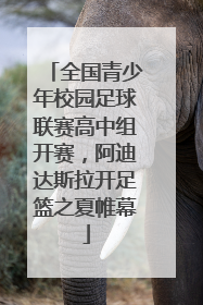 全国青少年校园足球联赛高中组开赛，阿迪达斯拉开足篮之夏帷幕