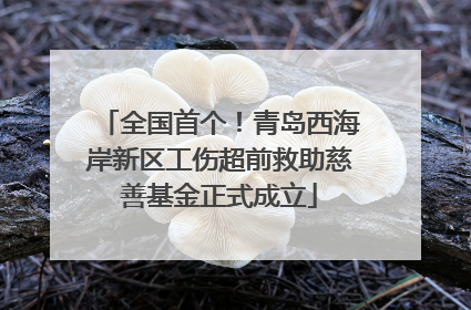 全国首个！青岛西海岸新区工伤超前救助慈善基金正式成立