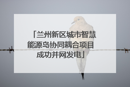 兰州新区城市智慧能源岛协同耦合项目成功并网发电
