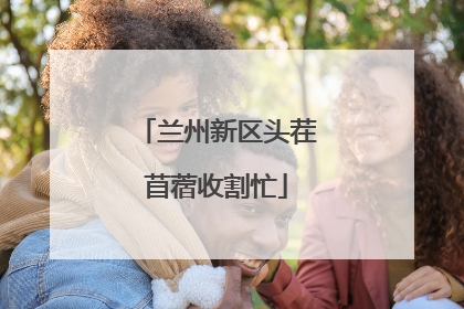 兰州新区头茬苜蓿收割忙