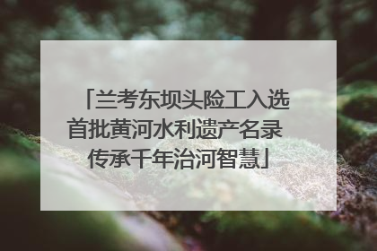 兰考东坝头险工入选首批黄河水利遗产名录 传承千年治河智慧