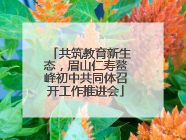 共筑教育新生态，眉山仁寿鳌峰初中共同体召开工作推进会