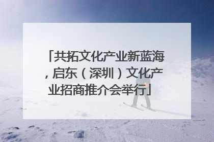 共拓文化产业新蓝海，启东（深圳）文化产业招商推介会举行