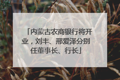 内蒙古农商银行将开业，刘丰、邢爱泽分别任董事长、行长