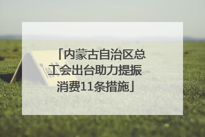 内蒙古自治区总工会出台助力提振消费11条措施