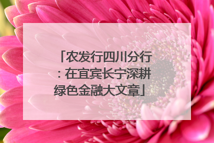 农发行四川分行：在宜宾长宁深耕绿色金融大文章