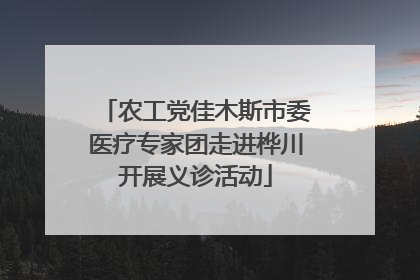 农工党佳木斯市委医疗专家团走进桦川开展义诊活动