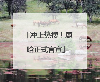 冲上热搜！鹿晗正式官宣