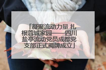 凝聚流动力量 扎根蓉城家园——四川盐亭流动党员成都党支部正式揭牌成立