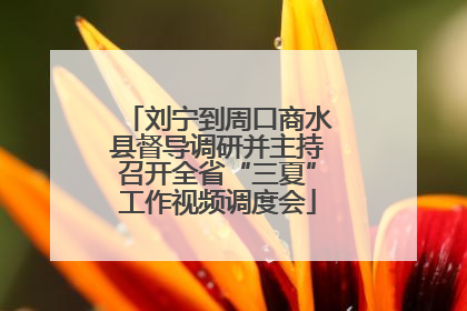 刘宁到周口商水县督导调研并主持召开全省“三夏”工作视频调度会