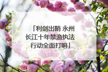 利剑出鞘 永州长江十年禁渔执法行动全面打响