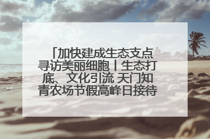 加快建成生态支点 寻访美丽细胞丨生态打底、文化引流 天门知青农场节假高峰日接待游客2万人次