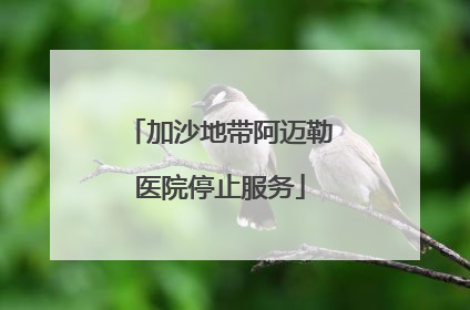 加沙地带阿迈勒医院停止服务
