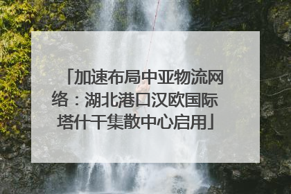 加速布局中亚物流网络：湖北港口汉欧国际塔什干集散中心启用