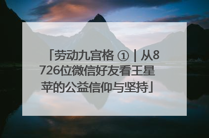 劳动九宫格 ①｜从8726位微信好友看王星苹的公益信仰与坚持