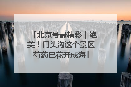 北京号最精彩｜绝美！门头沟这个景区芍药已花开成海