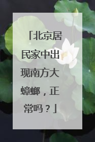 北京居民家中出现南方大蟑螂，正常吗？