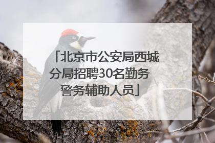 北京市公安局西城分局招聘30名勤务警务辅助人员