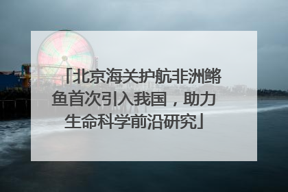 北京海关护航非洲鳉鱼首次引入我国，助力生命科学前沿研究