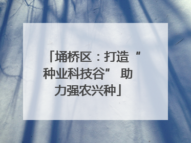 埇桥区：打造“种业科技谷” 助力强农兴种