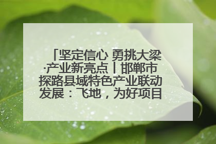 坚定信心 勇挑大梁·产业新亮点丨邯郸市探路县域特色产业联动发展：飞地，为好项目跨域安个家