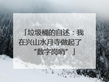 垃圾桶的自述：我在兴山水月寺做起了“数字岗哨”