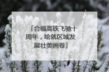 合福高铁飞驰十周年，绘就区域发展壮美画卷