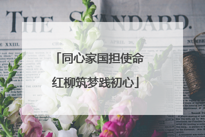 同心家国担使命 红柳筑梦践初心