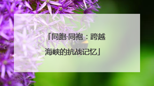 同胞·同袍：跨越海峡的抗战记忆