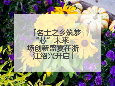名士之乡筑梦“芯”未来 一场创新盛宴在浙江绍兴开启