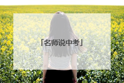 名师说中考