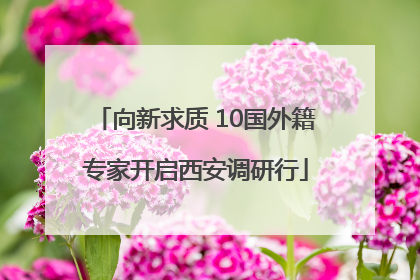 向新求质 10国外籍专家开启西安调研行