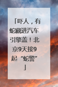 吓人，有蛇藏进汽车引擎盖！北京9天接9起“蛇警”