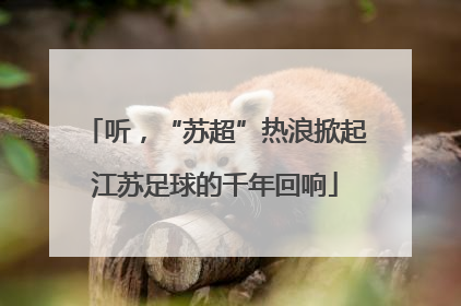 听，“苏超”热浪掀起江苏足球的千年回响