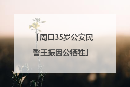 周口35岁公安民警王振因公牺牲