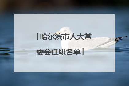 哈尔滨市人大常委会任职名单