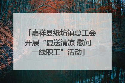 嘉祥县纸坊镇总工会开展“夏送清凉 慰问一线职工”活动