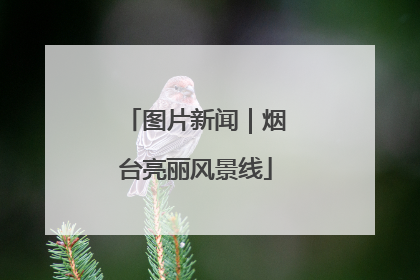 图片新闻｜烟台亮丽风景线
