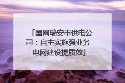 国网瑞安市供电公司：自主实施强业务 电网建设提质效