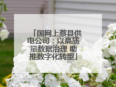 国网上蔡县供电公司：以高质量数据治理 助推数字化转型