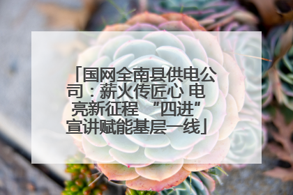 国网全南县供电公司：薪火传匠心 电亮新征程 “四进”宣讲赋能基层一线