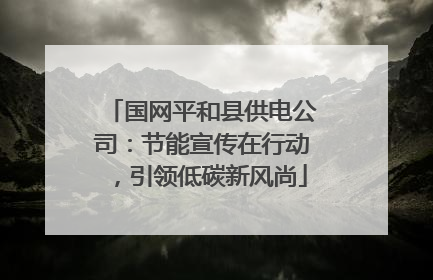 国网平和县供电公司：节能宣传在行动，引领低碳新风尚