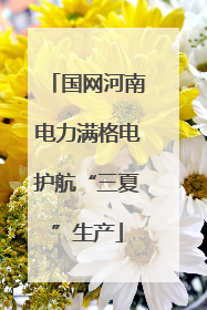 国网河南电力满格电护航“三夏”生产