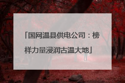 国网温县供电公司：榜样力量浸润古温大地