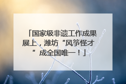 国家级非遗工作成果展上，潍坊“风筝怪才”成全国唯一！