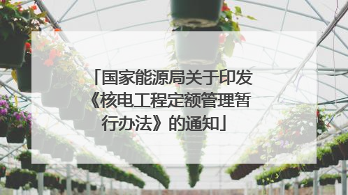国家能源局关于印发《核电工程定额管理暂行办法》的通知