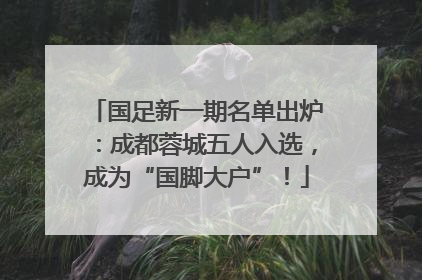 国足新一期名单出炉：成都蓉城五人入选，成为“国脚大户”！