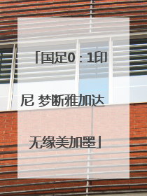 国足0∶1印尼 梦断雅加达 无缘美加墨
