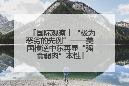 国际观察丨“极为恶劣的先例”——美国横逆中东再显“强食弱肉”本性